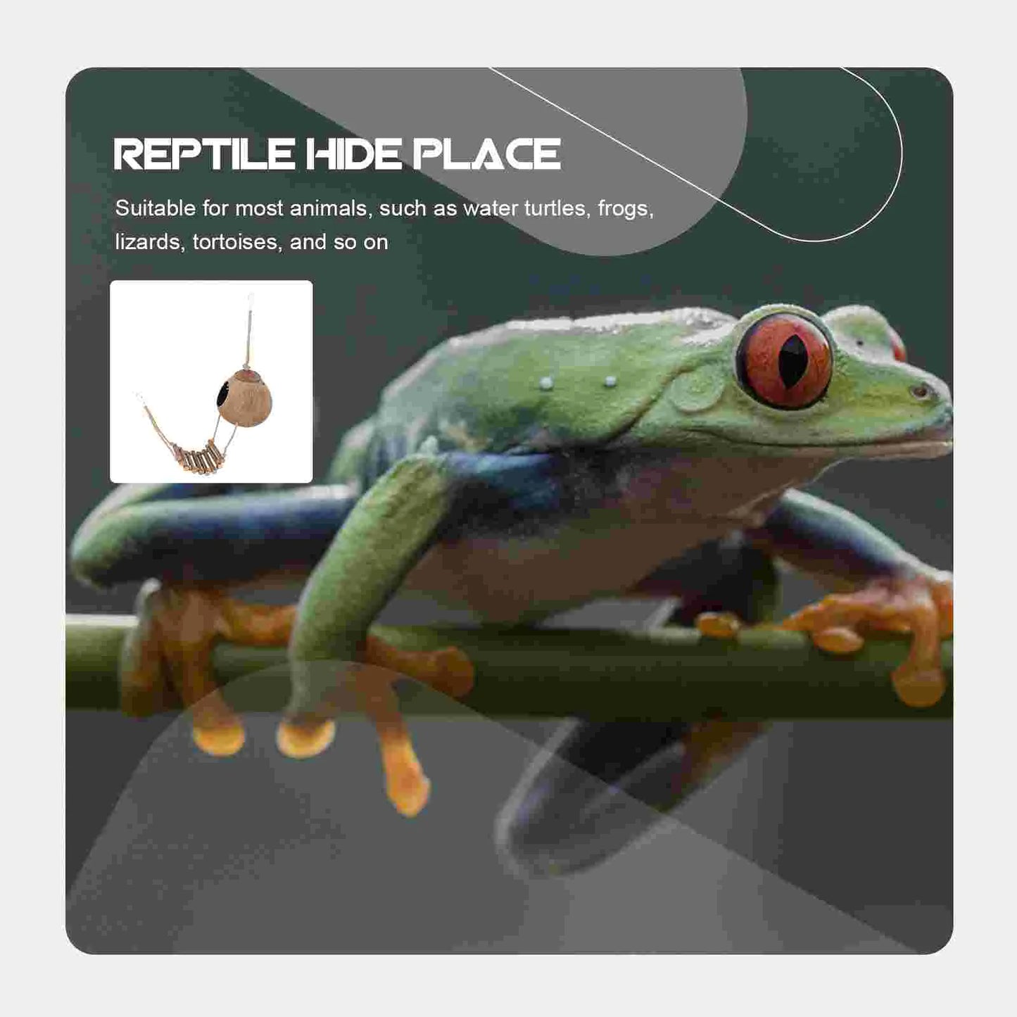 Reptile Gecko Ladder Hut and Hiding Terrarium Accessory
