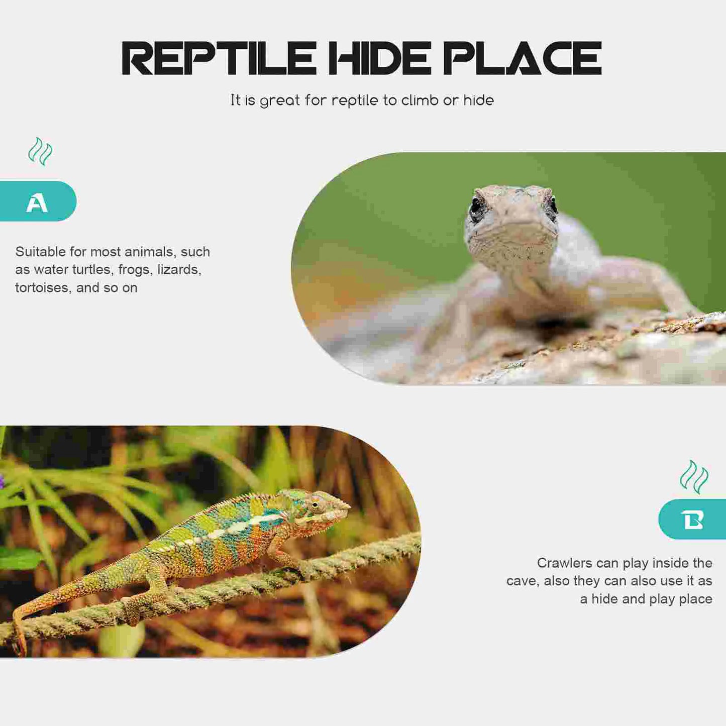Reptile Gecko Ladder Hut and Hiding Terrarium Accessory