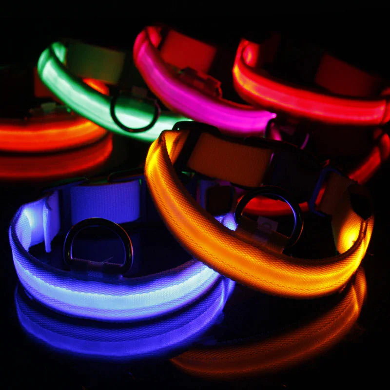 Adjustable Waterproof  Light Up Glow Collar