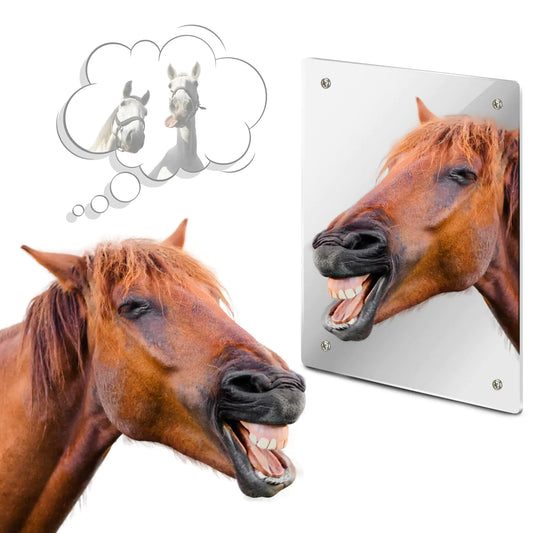 Horse Stall Mirror - Safe Acrylic Mirror Sheet
