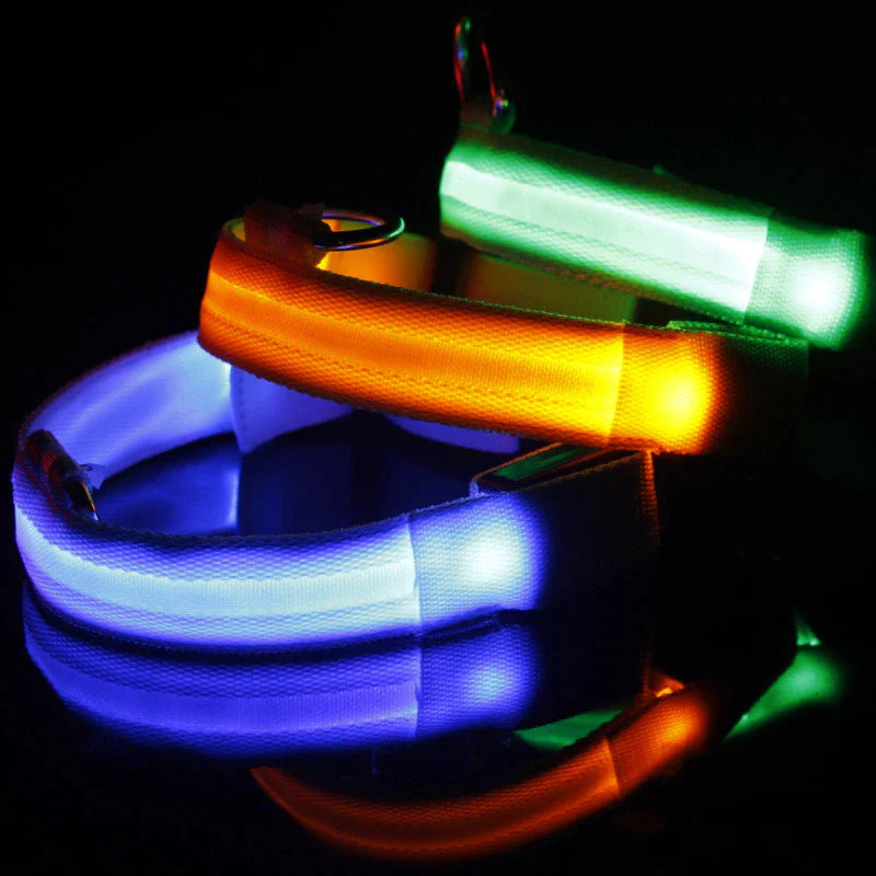 Adjustable Waterproof  Light Up Glow Collar