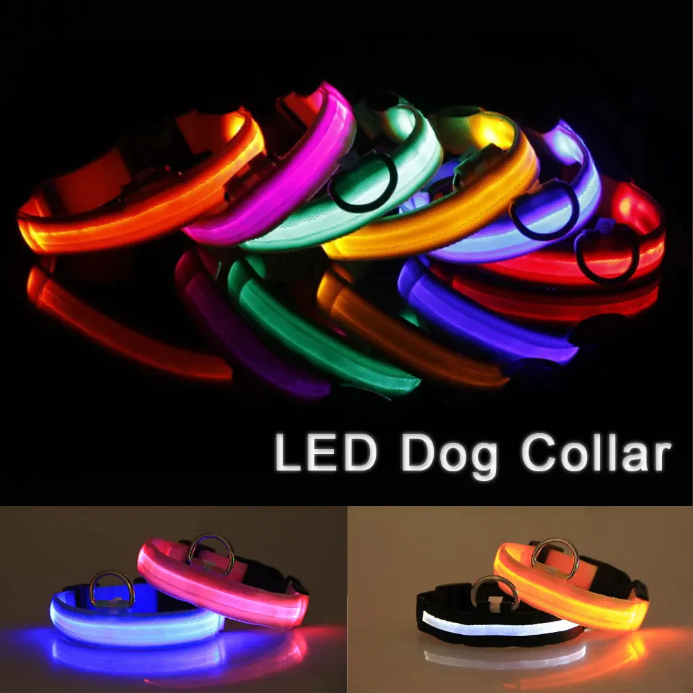 Adjustable Waterproof  Light Up Glow Collar