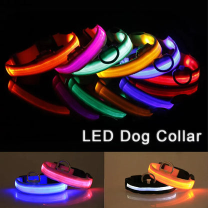 Adjustable Waterproof  Light Up Glow Collar