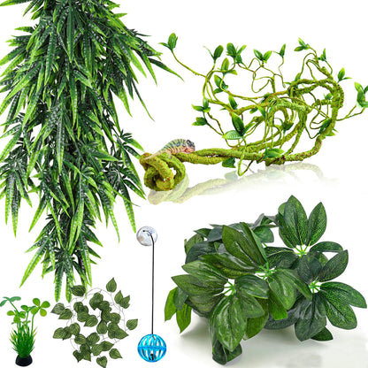 Reptile Plants Terrarium Hanging Plant Climbing Vine