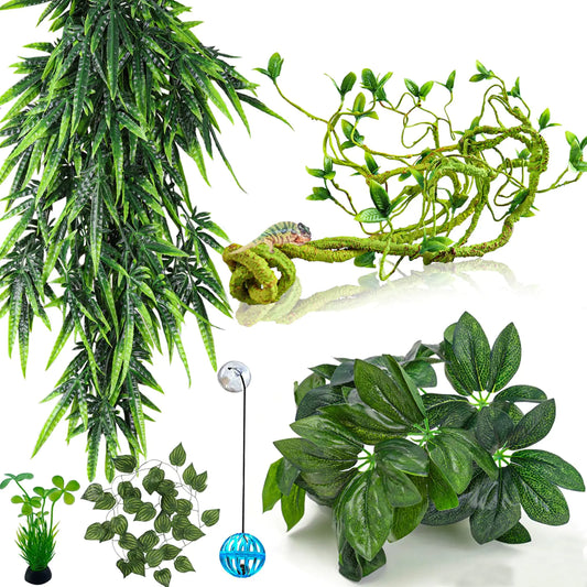 Reptile Plants Terrarium Hanging Plant Climbing Vine