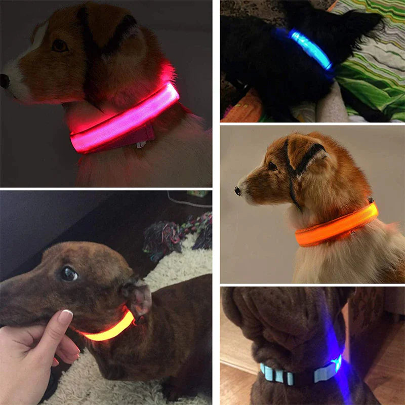 Adjustable Waterproof  Light Up Glow Collar