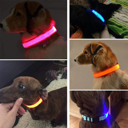 Adjustable Waterproof  Light Up Glow Collar
