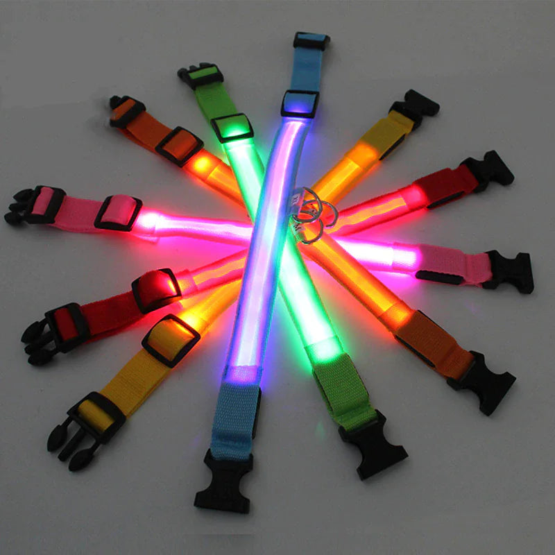 Adjustable Waterproof  Light Up Glow Collar