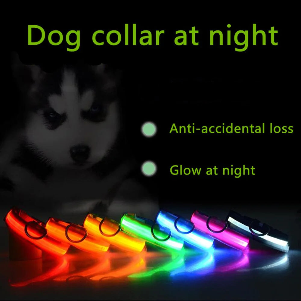 Adjustable Waterproof  Light Up Glow Collar