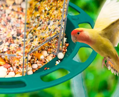 Automatic Out-Door Bird Feeder
