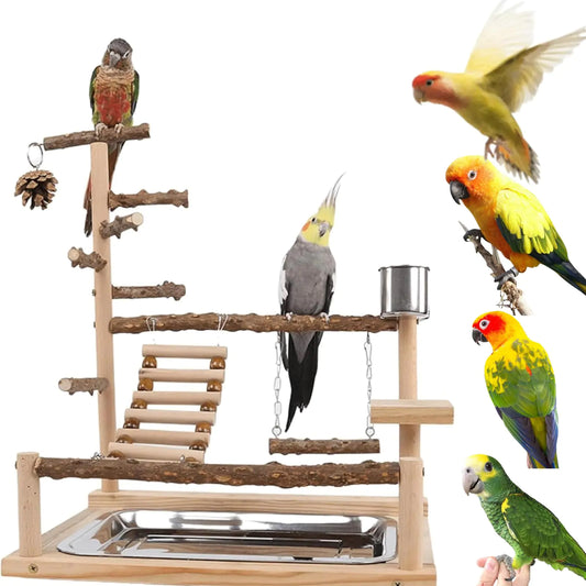 Bird Playground Bird Stand with Feeder Cups