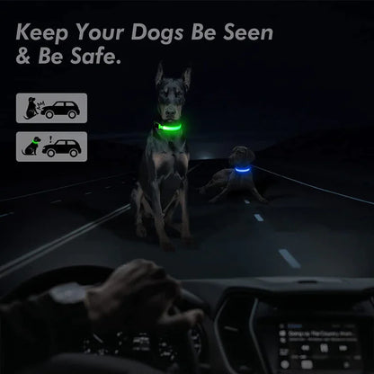 Adjustable Waterproof  Light Up Glow Collar