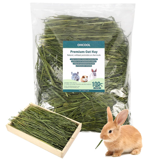 Ohcool Premium Oat Hay for Pets - Dust Free Natural Green Fresh Pet Food Hay for Rabbits Guinea Pigs Chinchillas Hamsters & Gerbils - 1.1lbs