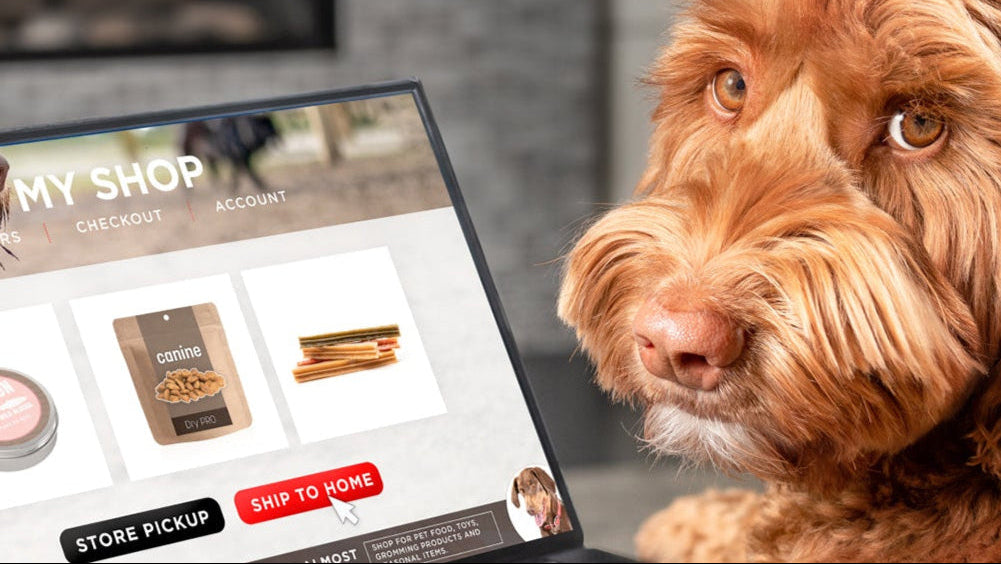 Home Page Banner Image