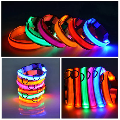 Adjustable Waterproof  Light Up Glow Collar