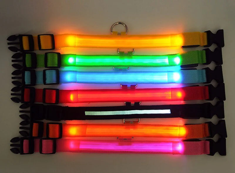 Adjustable Waterproof  Light Up Glow Collar