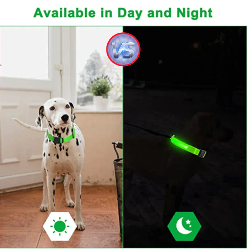 Adjustable Waterproof  Light Up Glow Collar