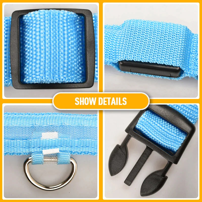 Adjustable Waterproof  Light Up Glow Collar