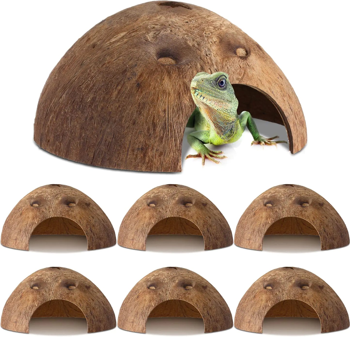 (6 Pcs) Coconut Shell Reptile Hideout Hut