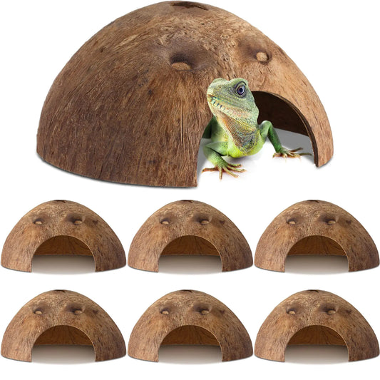 (6 Pcs) Coconut Shell Reptile Hideout Hut