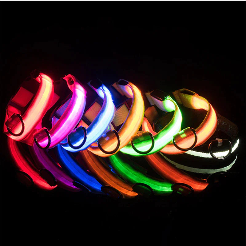 Adjustable Waterproof  Light Up Glow Collar