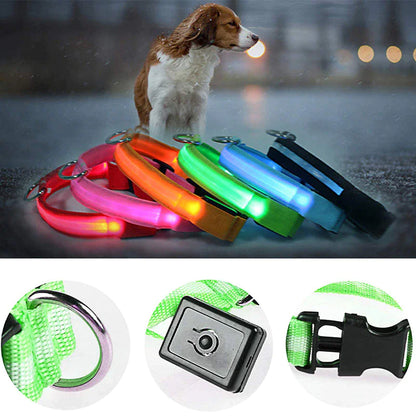 Adjustable Waterproof  Light Up Glow Collar