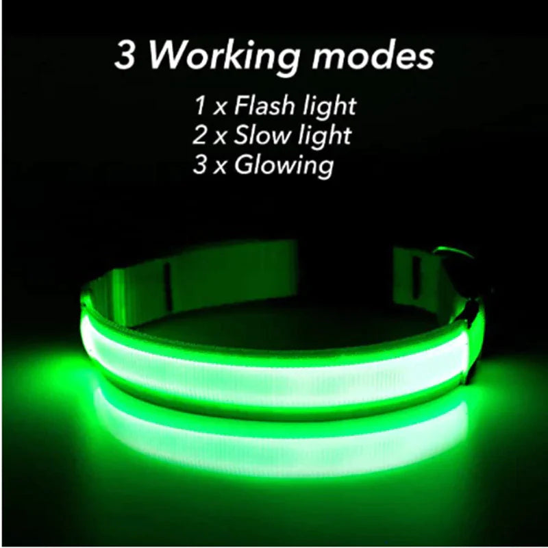 Adjustable Waterproof  Light Up Glow Collar