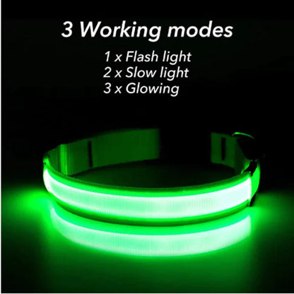 Adjustable Waterproof  Light Up Glow Collar