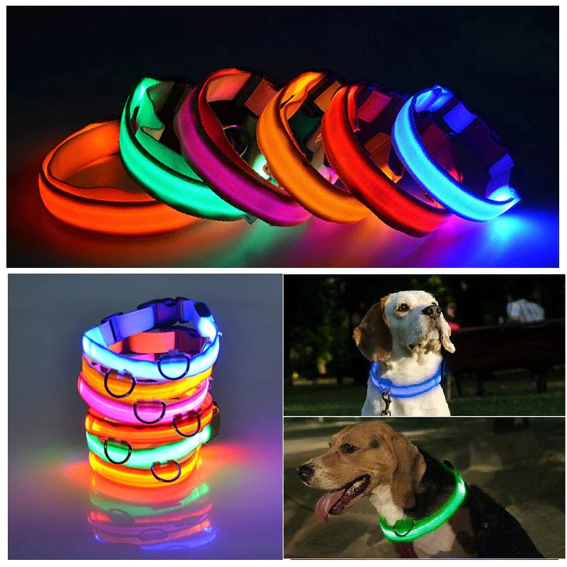Adjustable Waterproof  Light Up Glow Collar