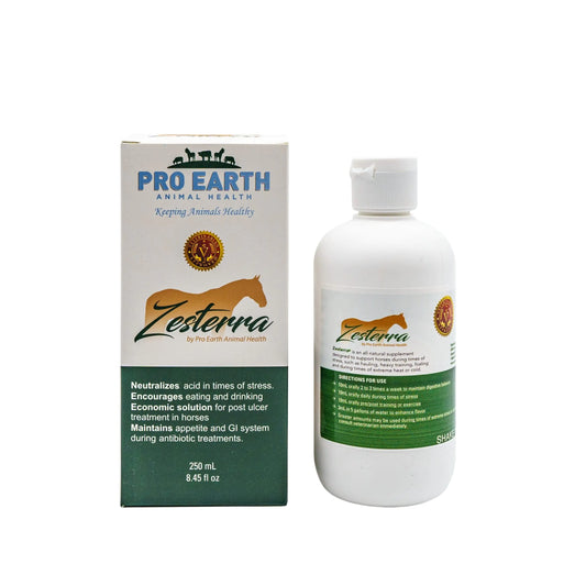 Equine Nutrition Horse Supplements - Aids in Horse Digestion