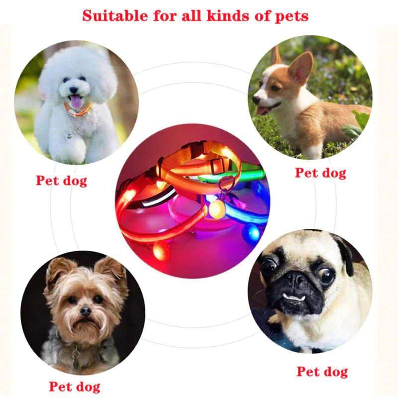 Adjustable Waterproof  Light Up Glow Collar