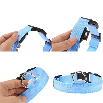 Adjustable Waterproof  Light Up Glow Collar
