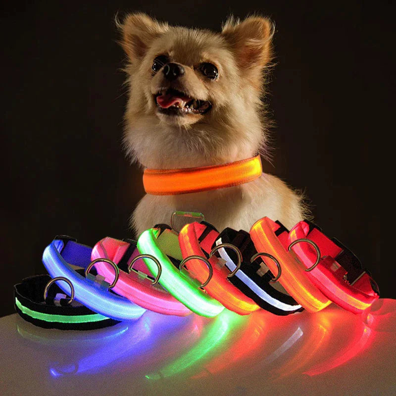 Adjustable Waterproof  Light Up Glow Collar