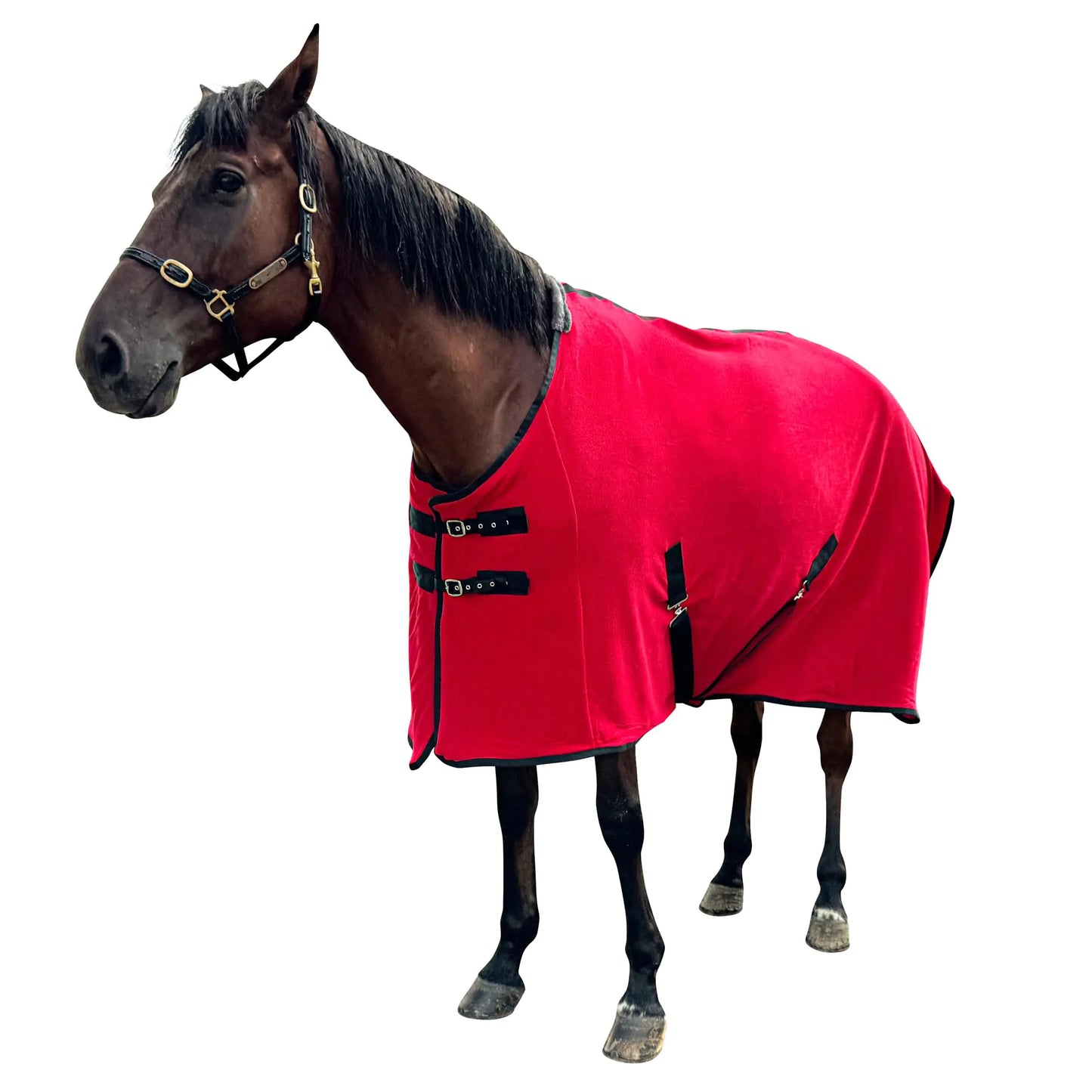 Polar Fleece Cooler Horse Blankets