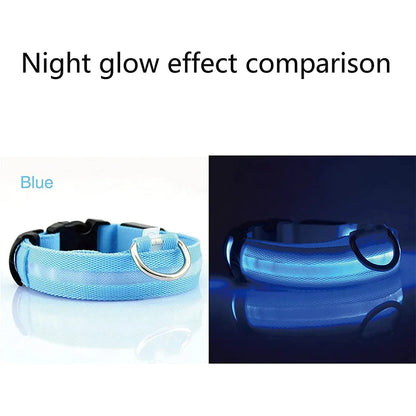 Adjustable Waterproof  Light Up Glow Collar