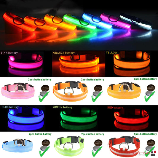 Adjustable Waterproof  Light Up Glow Collar